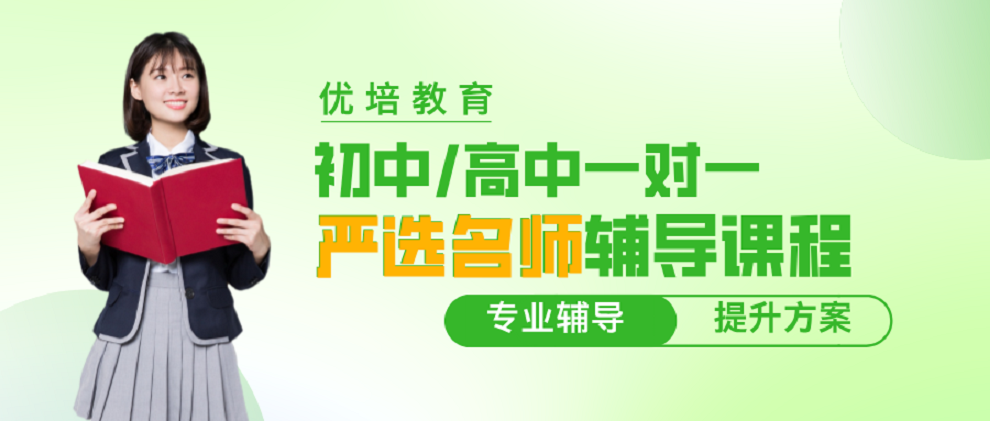 1747727519491472.png 优培未来简介3.png