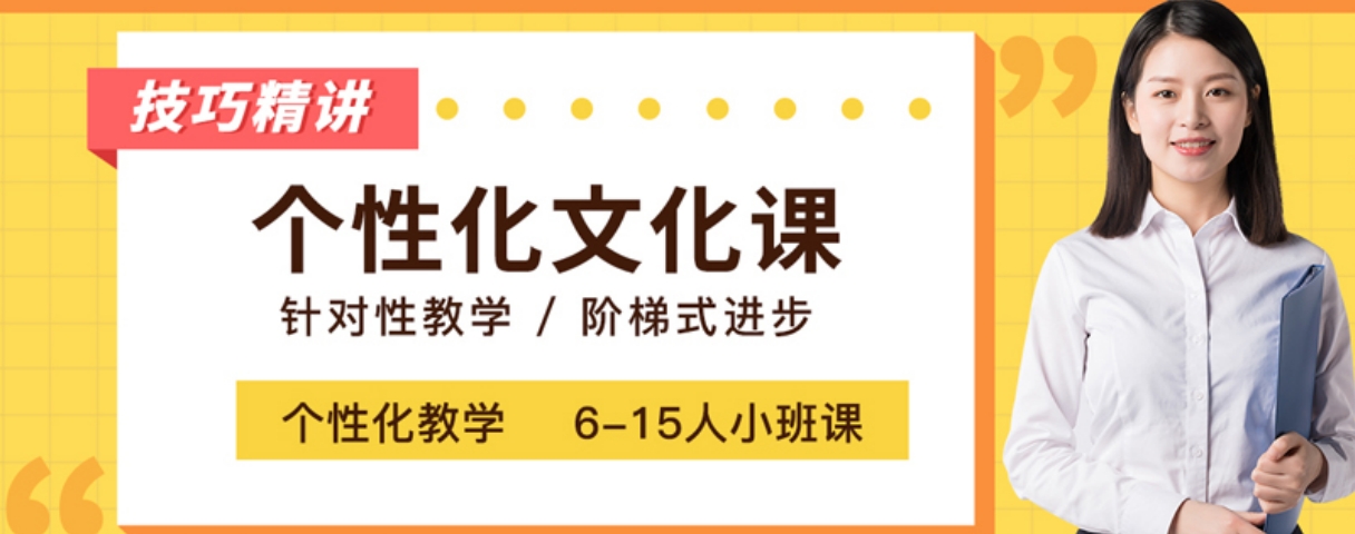 个性化文化课辅导.png