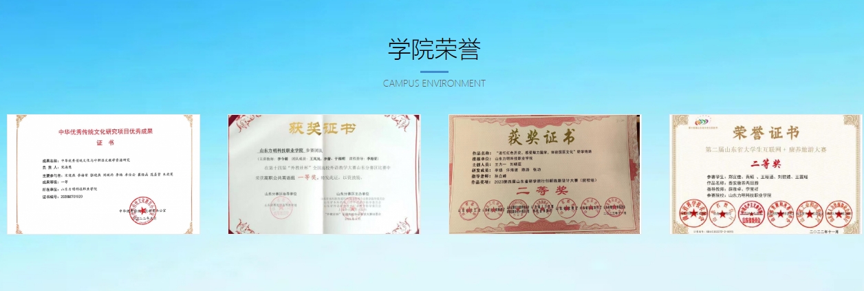 荣誉 (2).png