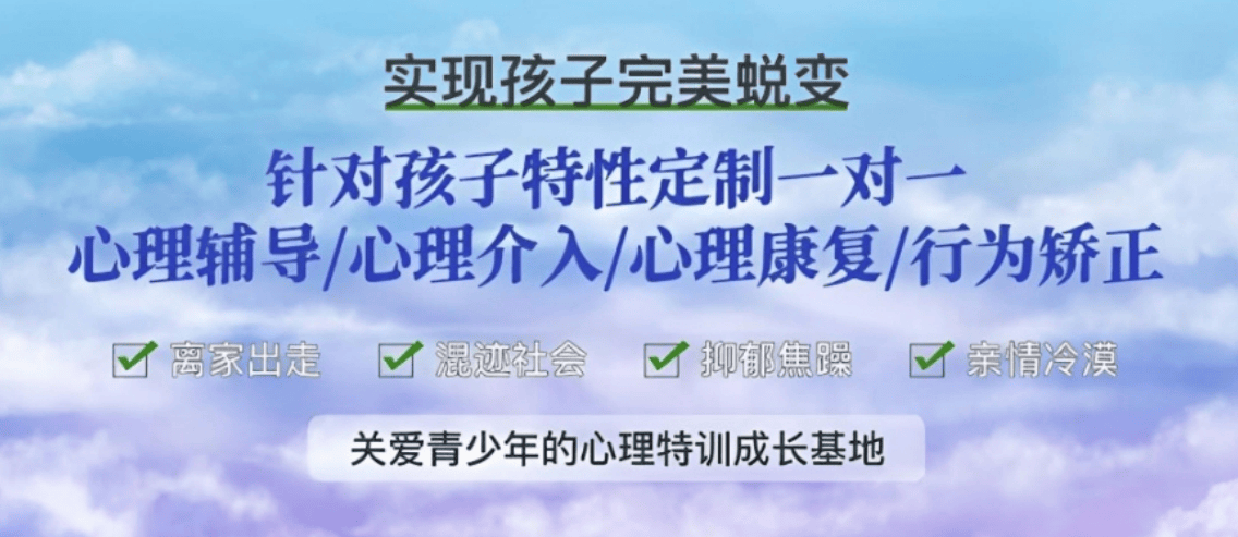 叛逆一对一.png