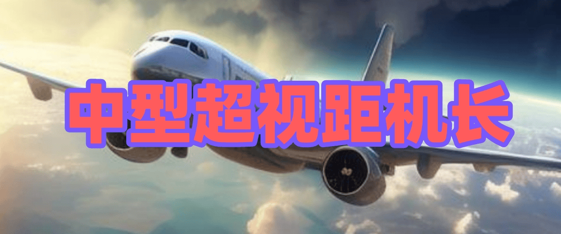 中型.png
