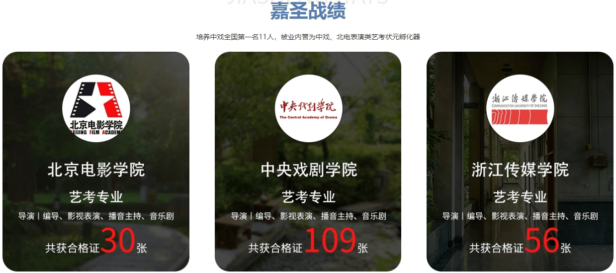 嘉圣战绩.png