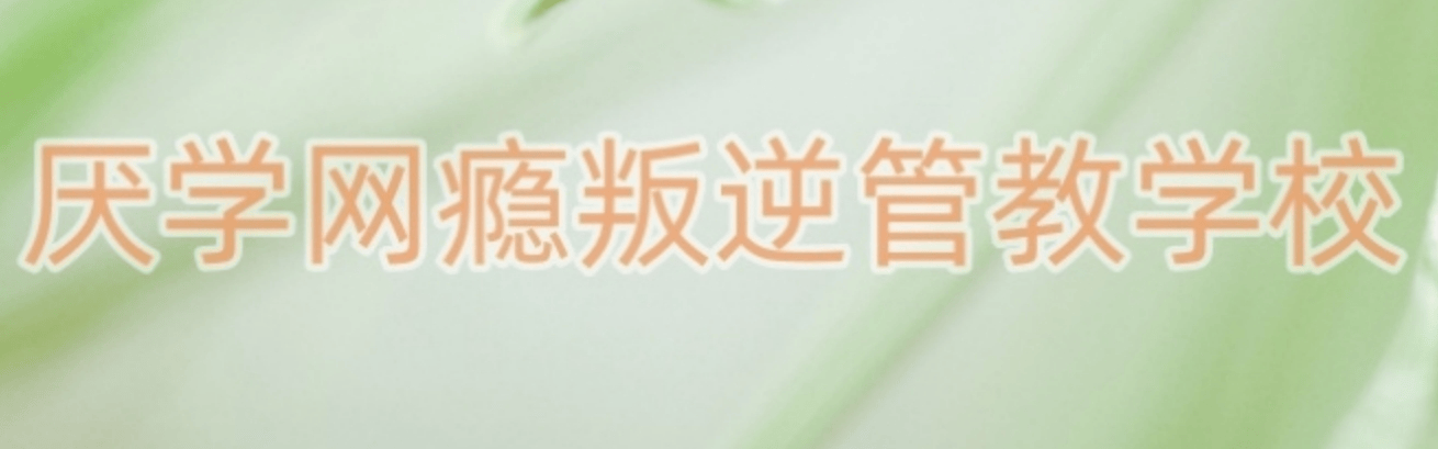 厌学网瘾叛逆学校.png
