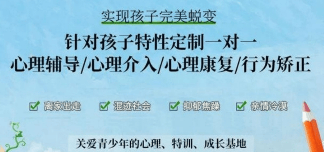 叛逆一对一.png