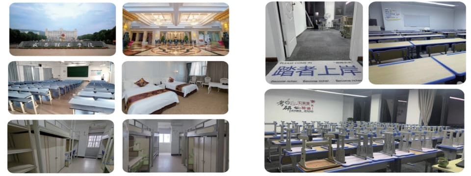 环境拼5.jpg