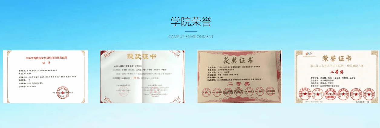 荣誉 (2).png