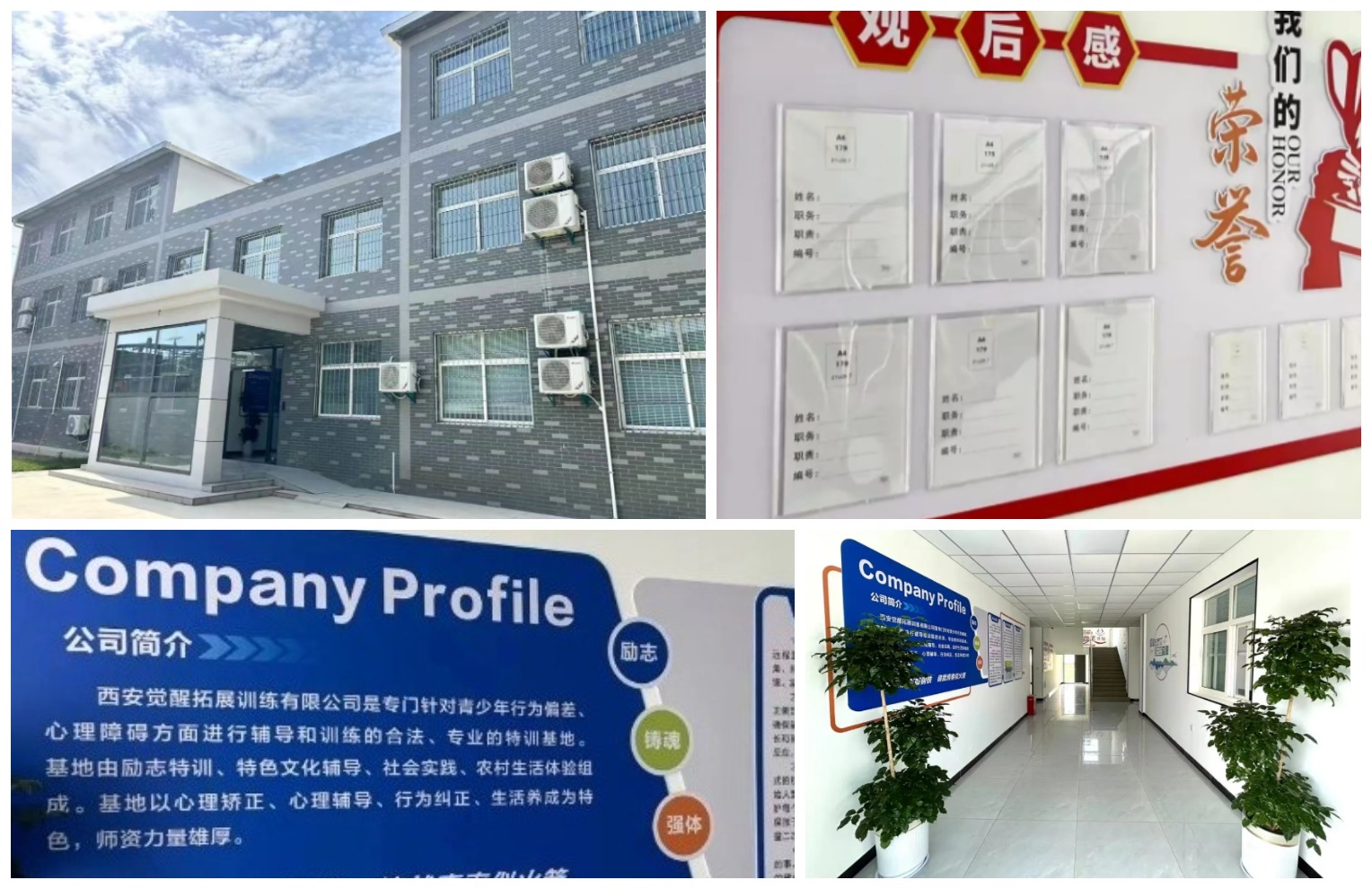 环境图1.jpeg